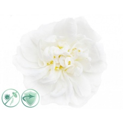 White Flower – dezinfekční aroma olej